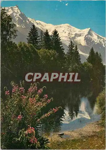 Cartes postales moderne L'Aiguille du Midi (alt 3842m) le Mont Banc (alt 4807m) les Alpes en Couleurs Naturelles