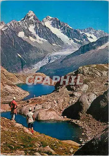 Cartes postales moderne Au Pays du Mont Blanc du Livre d'Images de GRM qui Change son Blanc Visage Chardonnet et d'Argen