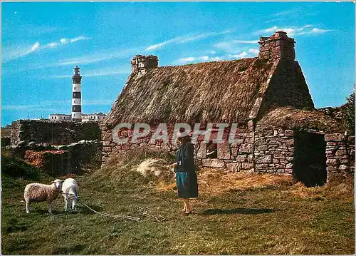 Cartes postales moderne Chaumieres de Bretagne Phare Moutons Folklore