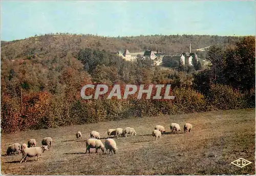 Moderne Karte Abbaye de la Pierre qui Vire Reflets du Morvan Vue Generale (Cote Sud) Moutons