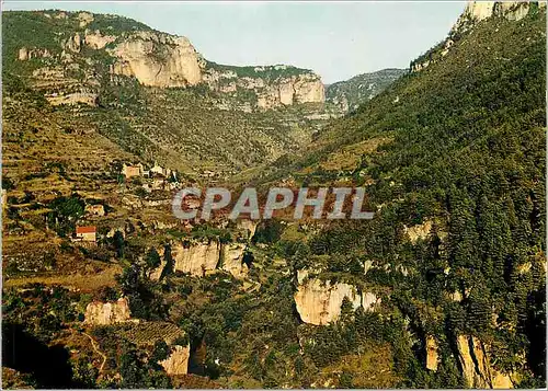 Moderne Karte Gorges de la Jonte (Lozere) en Parcourant les Gorges du Tarn les Terrasses du Truel Surplombant
