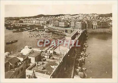 Cartes postales moderne Algerie Alger