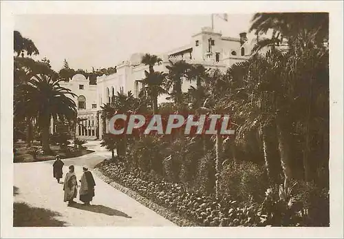 Cartes postales moderne Algerie Alger
