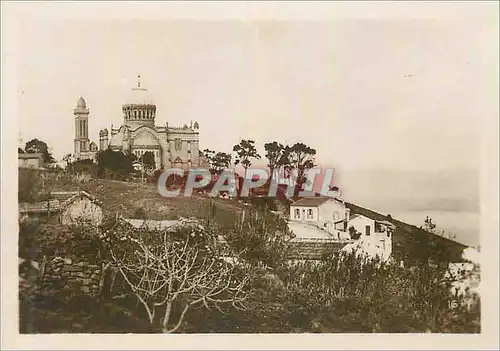 Cartes postales moderne Algerie Alger