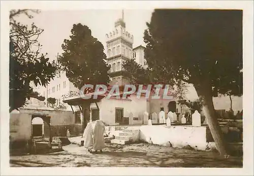 Cartes postales moderne Algerie Alger