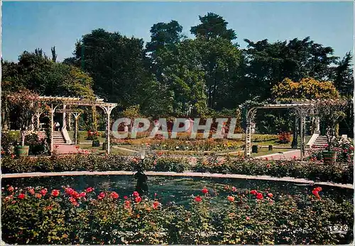 Cartes postales moderne Clermont Ferrand (P de D) Capital de l'Auvergne Pergolas et Bassin du Jardin Lecoq
