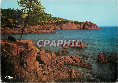 Cartes postales moderne L'Esterel La Corniche d'Or Roches Rouges