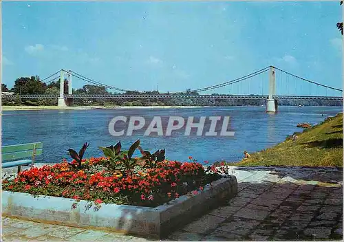 Cartes postales moderne Cosne sur Loire (Nievre) Les Bords de la Loire