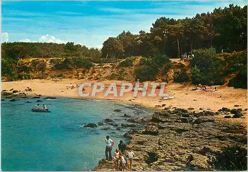 Cartes postales moderne Ile d'Aix (Ch Mme) Baie des Sables Jaunes