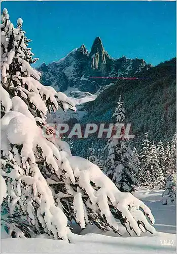 Cartes postales moderne Chamonix Mont Blanc Effet de Neige sur la Verte et les Drus