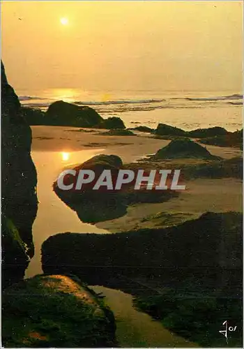 Cartes postales moderne La Bretagne en Couleurs Maree Basse au Soleil Couchant