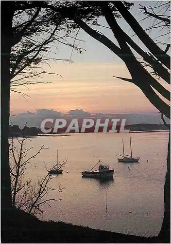 Cartes postales moderne Le Soir Tombe sur le Golfe Jean Le Corguille Bateaux de peche