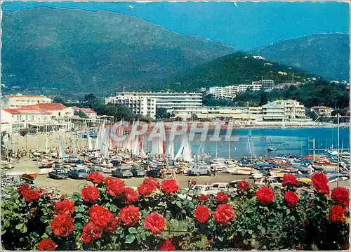 Cartes postales moderne Cavalaire sur Mer (Var) la Cote des Maures le Depart des Voiliers un Jour de Regates Bateaux