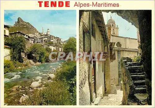 Moderne Karte Tende Alpes Maritimes Altitude 850 Metres Paysages de France Station Touristique et Climatique d
