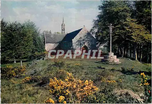 Cartes postales moderne La Chapelle de Saint Gildas La Bretagne en Couleurs sur la Lande Bretonne