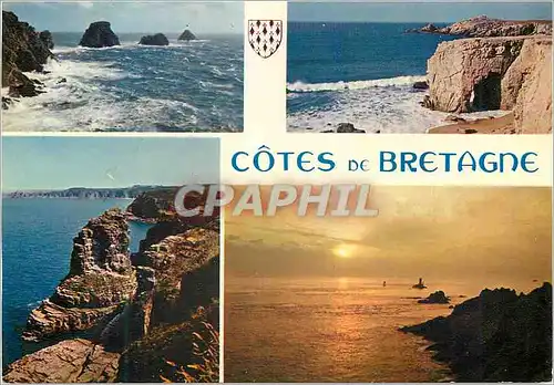 Cartes postales moderne Cotes de Bretagne La Bretagne en Couleurs Les Tas de Pois La Presqu'ile de Quiberon le Cap Frehe