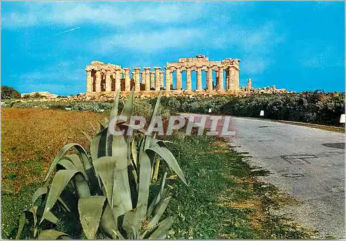 Cartes postales moderne Selinunte Tempio di Gluacas