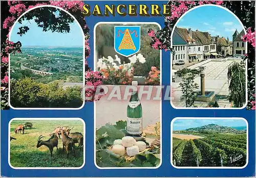 Cartes postales moderne Sancerre (Cher) Le Sancerrois Panorama sur Saint Satur et son Viaduc Les Celebres Produits La Pl