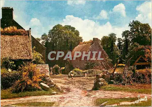 Cartes postales moderne Couleurs de Bretagne Chaumiere Bretonne