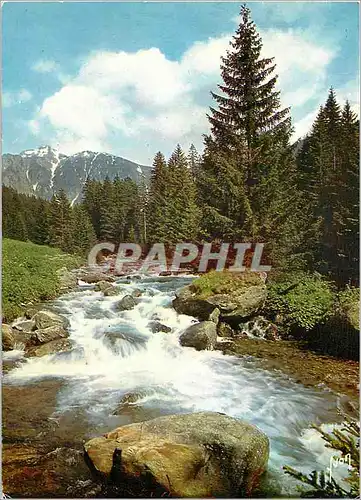 Cartes postales moderne Couleurs et Lumiere de France Torrent en Montagne