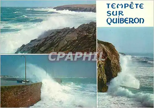 Cartes postales moderne Tempete sur Quiberon (Bretagne en Couleurs) Tempete sur la Cote Sauvage et sur la Digue