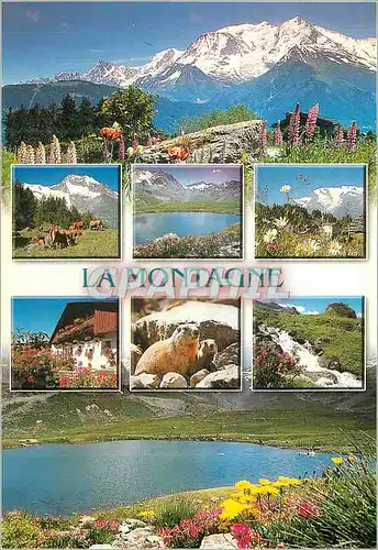Cartes postales moderne La Montagne Marmotte