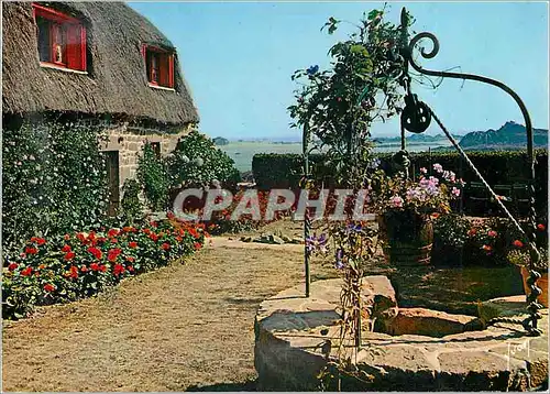 Cartes postales moderne Ile de Brehat (Cotes du Nord) La Bretagne Couleurs et Lumiere de France Margelle et Chaumiere Fl