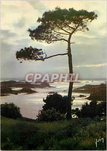 Cartes postales moderne Ile de Brehat (Cotes du Nord) La Bretagne Couleurs et Lumiere de France Ile des fleurs et des ro