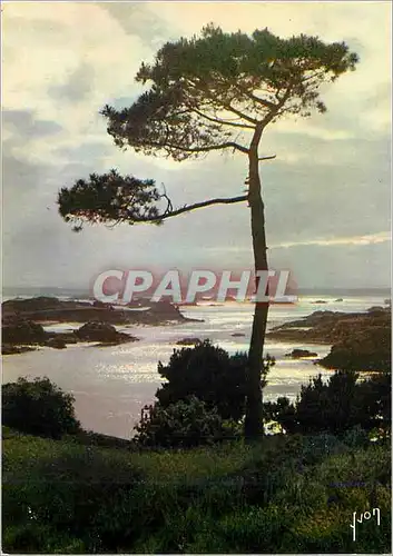 Moderne Karte Ile de Brehat (Cotes du Nord) La Bretagne Couleurs et Lumiere de France Ile des fleurs et des ro