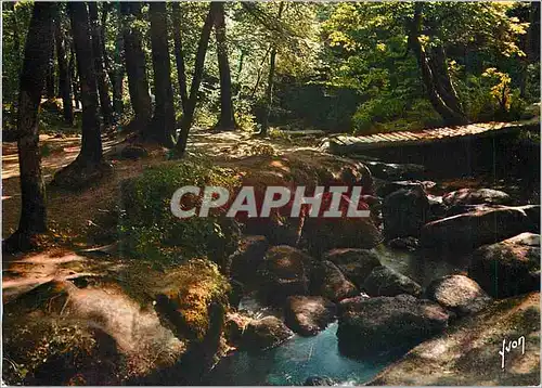 Cartes postales moderne Huelgoat (Finistere) la Bretagne Couleurs et Lumiere de France Flanerie dans le Sous Bois