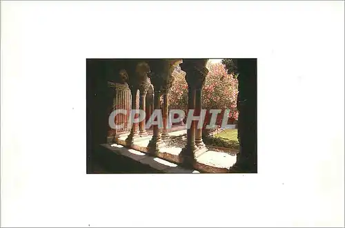 Cartes postales moderne Arles le Cloitre de l'Eglise Sainte Trophime