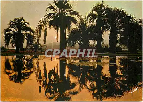 Cartes postales moderne Cannes (Alpes Maritimes) la Cote d'Azur Miracle de la Nature Couleurs et Lumiere de France COuch