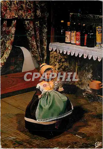 Cartes postales moderne L'Auvergne l'Auvergnate les Attraits de la France ses Eaux Pures ses Fromages ses Chataigneraies