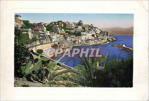 Cartes postales moderne Marseille Promenade de la Corniche Anse du Prophete