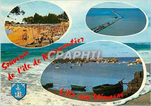 Cartes postales moderne Ile de Noirmoutier (Vendee) La Plage des Dames Le Port de l'Herbaudiere Le Passage du Gois