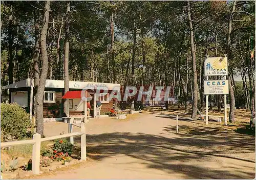 Cartes postales moderne Bourgenay Talmont St Hilaire Camping des Aiguades