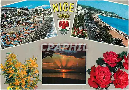 Cartes postales moderne Nice Cote d'Azur