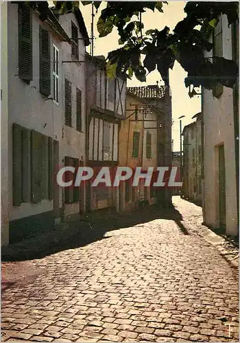 Cartes postales moderne Ile de Re Saint Martin de Re les Paves et les Vieilles Maisons Moyenageuses