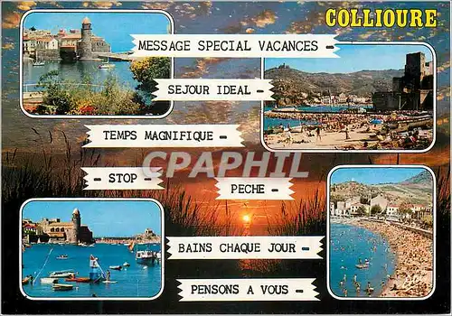 Cartes postales moderne Collioure (Pyrenees Orientales) la Cote Vermeille le Vieux Port domine par le Clocher de l'Eglis