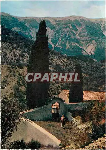 Cartes postales moderne Les Belles Images de Provence un Coin Pittoresque