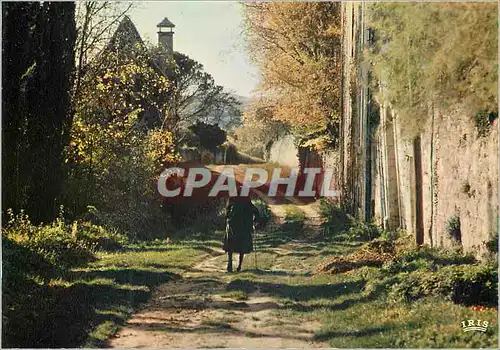 Cartes postales moderne Promenade Solitaire