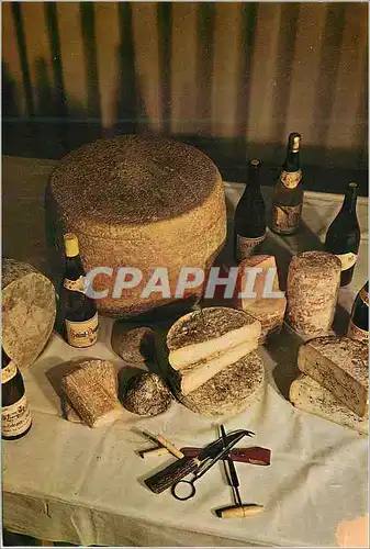 Cartes postales moderne Fromages et Vins d'Auvergne des Fourmes et des Bleus Chevretons Picodons Savarons