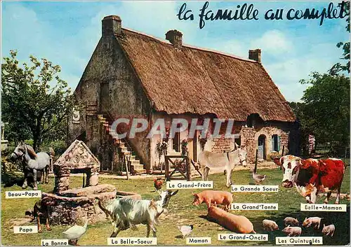 Cartes postales moderne La Famille au Complet Chevre Cochon Porc Vache Cheval Ane Donkey