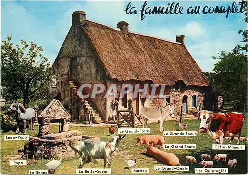 Moderne Karte La Famille au Complet Chevre Cochon Porc Vache Cheval Ane Donkey