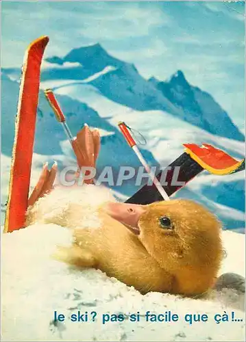 Moderne Karte Saturnin aux Sports d'Hiver Canard Ski