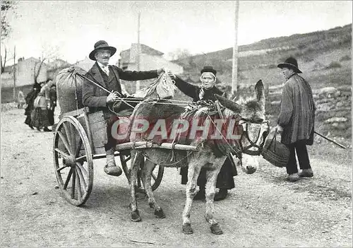 Cartes postales moderne Il etait une fois l'Auvergne et les Cevennes Le Vieux Commissionnaire du Village Ane Donkey