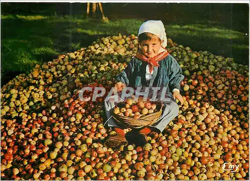 Cartes postales moderne Folklore Normand Petite Pomme sur les Tas Enfant Folklore