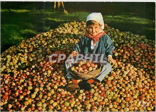 Moderne Karte Folklore Normand Petite Pomme sur les Tas Enfant Folklore