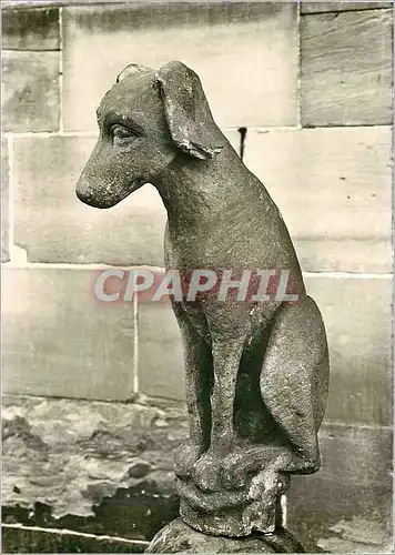 Moderne Karte Strasbourg Musee de l'Oeuvre Notre Dame Chien assis d'un Pinacle de la Nef de la Cathedrale (124