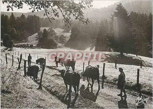 Moderne Karte Les Vosges les Vaches au Parc Folklore